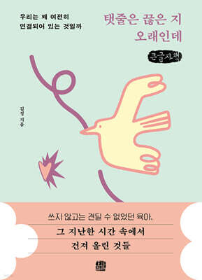 탯줄은 끊은 지 오래인데 (큰글자책)
