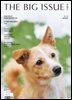 빅이슈코리아 The Big Issue No.316