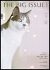 빅이슈코리아 The Big Issue No.294