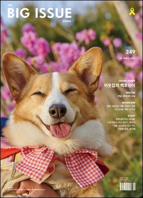 빅이슈코리아 The Big Issue No.249
