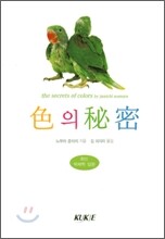 색의 비밀