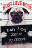 Must Love Dogs