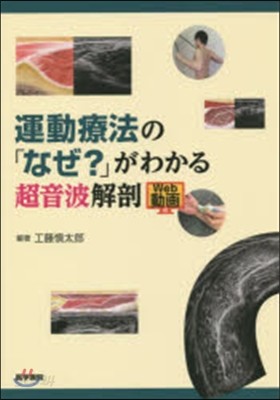 運動療法の「なぜ?」がわかる超音波解剖