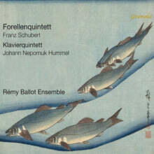 Remy Ballot Ensemble 슈베르트: 송어 오중주 / 훔멜: 피아노 오중주 (Schbert: Forellenquintett / Hummel: Klavierquintett)