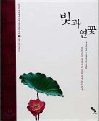 빛과 연꽃