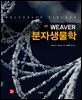 [대여] Weaver 분자생물학 (5판)