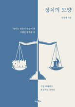 정치의 모양