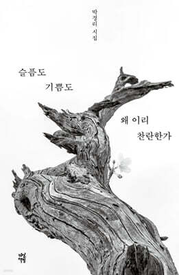 슬픔도 기쁨도 왜 이리 찬란한가