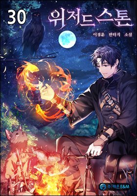 위저드 스톤 30