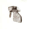 Coldplay (콜드플레이) - 2집 A Rush of Blood to the Head [클리어 에코 컬러 LP]