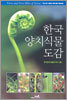한국 양치식물 도감