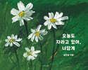 오늘도 자라고 있어, 너답게