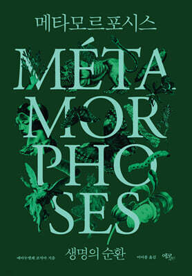 메타모르포시스