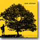 Jack Johnson - In Between Dreams