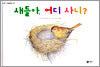 새들아, 어디 사니?