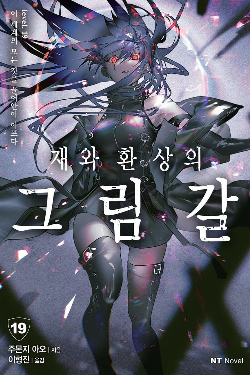 재와 환상의 그림갈 19