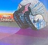 [LP] 에머슨 레이크 앤 파머 - Emerson Lake & Pamer - Tarkus LP [일본반]