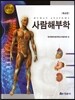 새용어 사람해부학
