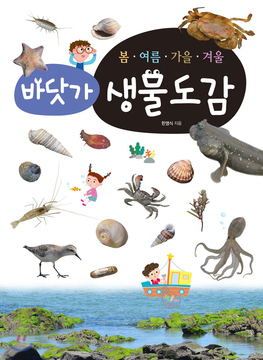 [대여] 봄·여름·가을·겨울 : 바닷가생물도감