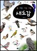 [대여] 봄·여름·가을·겨울 : 새도감