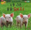 소풍 나온 꿀꿀 돼지