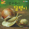 긴 더듬이 달팽이