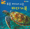 푸른바다에 사는 바다거북