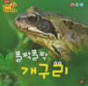 폴짝 폴짝 개구리