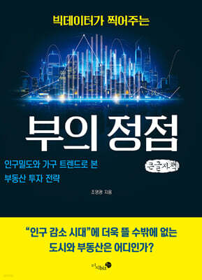 빅데이터가 찍어주는 부의 정점 (큰글자책)