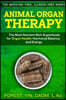 Animal Organ Therapy: The Most Nutrient-Rich Superfoods for Organ Health, Hormonal Balance, and Energy