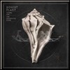 Robert Plant - Lullaby and... The Ceaseless Roar