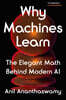 Why Machines Learn: The Elegant Math Behind Modern AI
