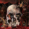 Slayer (슬레이어) - 4집 South of Heaven [LP]
