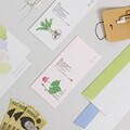 나태주 용돈봉투 콜렉션