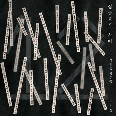 정태춘 박은옥 - 12집 : 집중호우 사이 [LP]