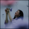 Harada Tomoyo (하라다 토모요) - アネモネ (SHM-CD)