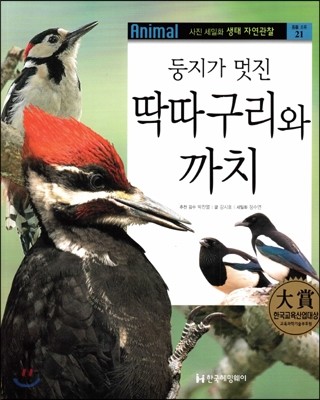 사진 세밀화 생태 자연관찰 21 둥지가 멋진 딱따구리와 까치