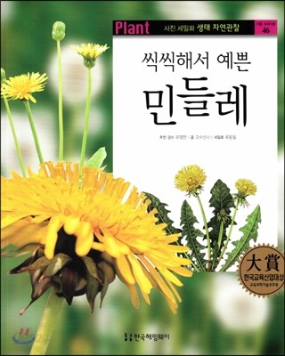 사진 세밀화 생태 자연관찰 46 씩씩해서 예쁜 민들레