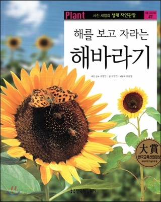 사진 세밀화 생태 자연관찰 47 해를 보고 자라는 해바라기