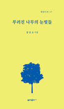 부러진 나무의 눈빛들