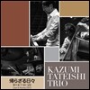 Kazumi Tateishi Trio - 돌아올 수 없는 날들: Live in Korea 2013