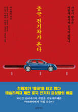 중국 전기차가 온다