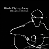 Mason Jennings - Birds Flying Away (LP)