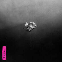 Little Simz (리틀 심즈) - 6집 Lotus [일렉트릭 핑크 컬러 2LP]