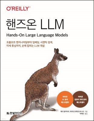 핸즈온 LLM