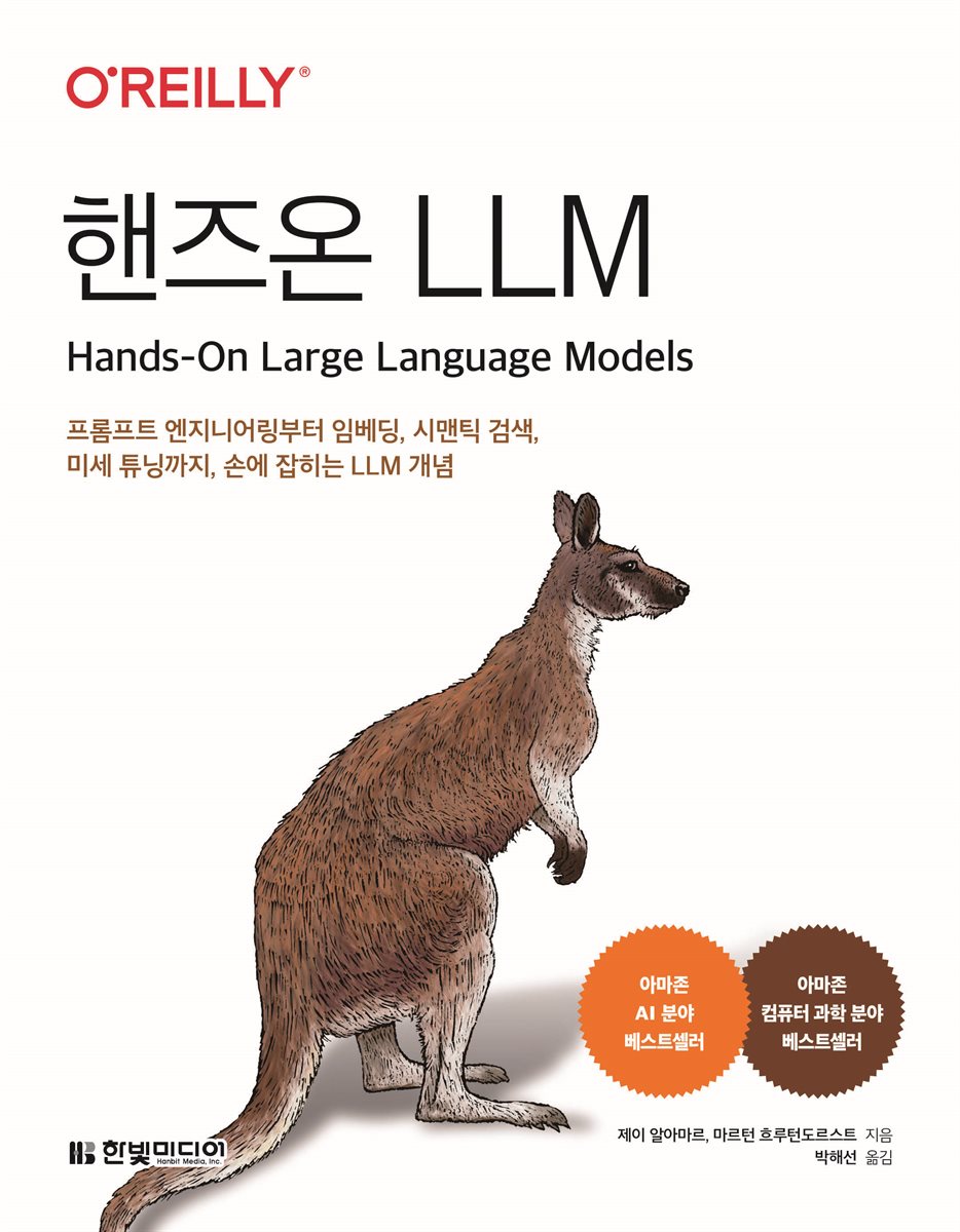 핸즈온 LLM