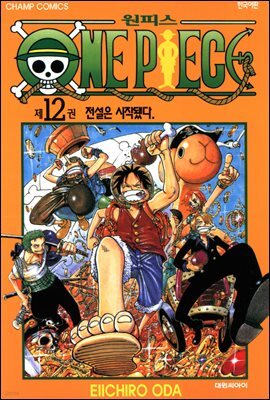 원피스 12
