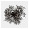 John Metcalfe - Tree (LP)