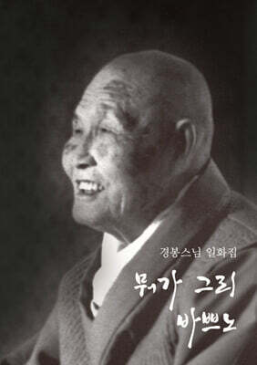 뭐가 그리 바쁘노 (큰글자불서)