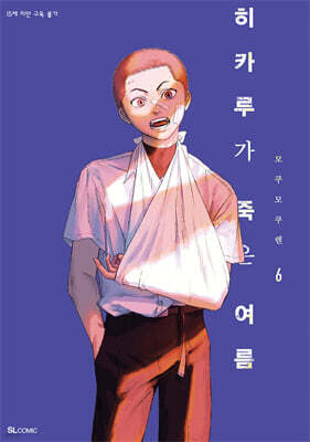 히카루가 죽은 여름 6 특별판